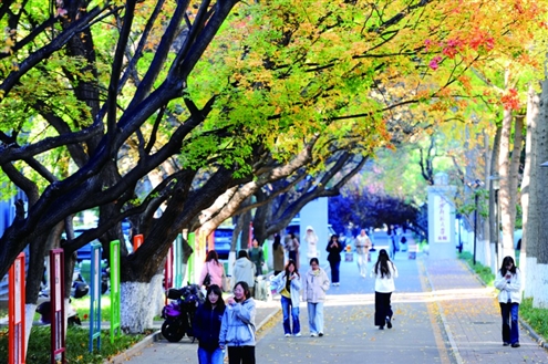 漫步在山东师范大学也是一种美的享受